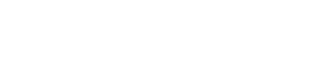 FLUKE NETWORKS logo